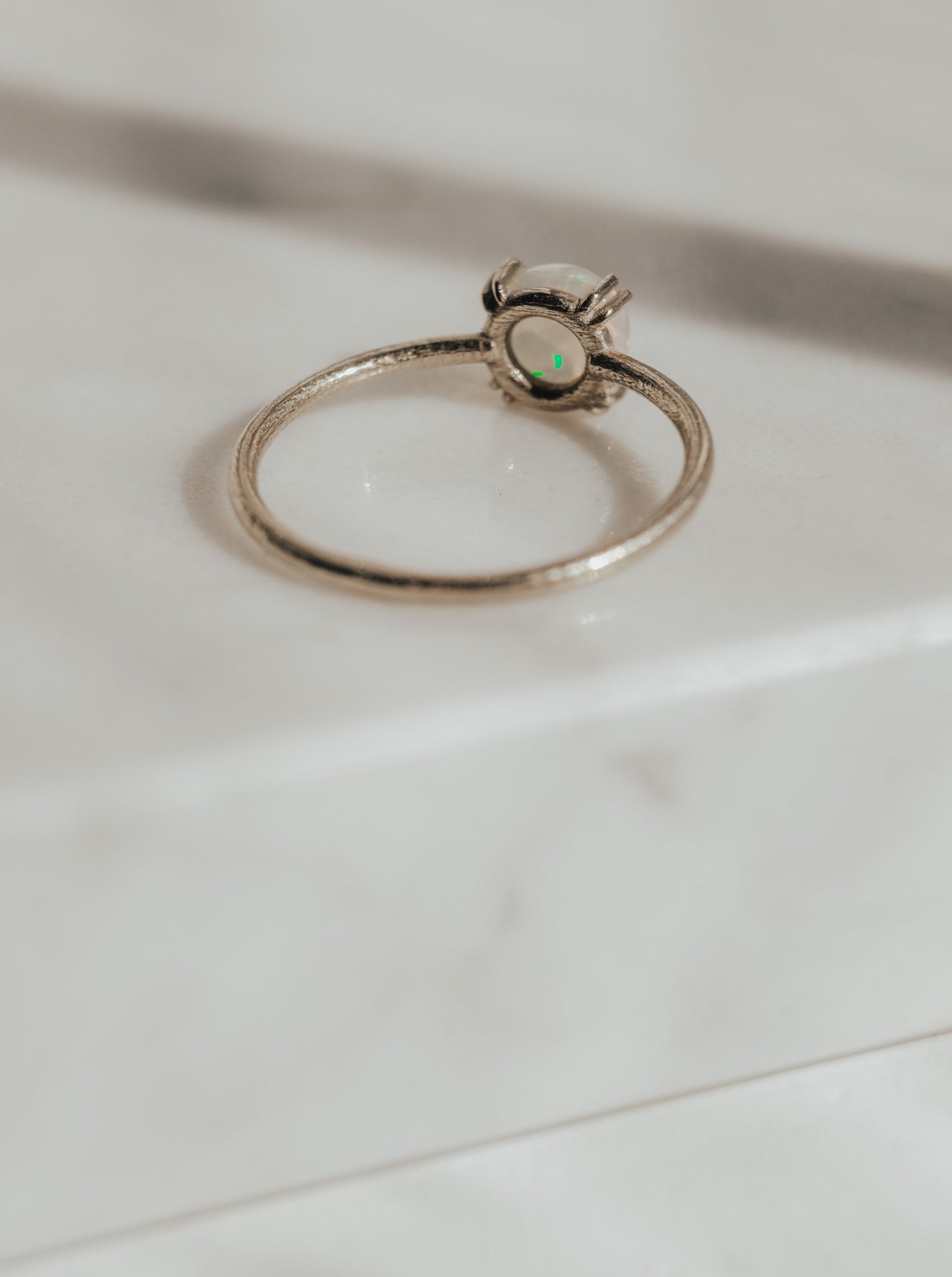 Acacia Opal